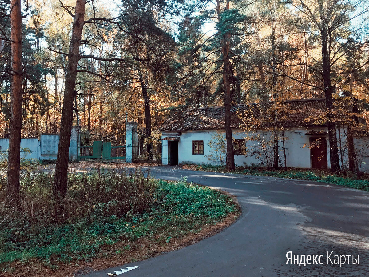 Запретная зона: Кузьминский лесопарк | Яндекс Карты | Дзен