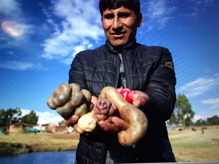 courtesy of Manuel Choqque Bravo