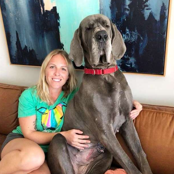 Морган и Ванда