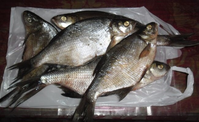 рецепт сухого посола рыбы речной | Дзен