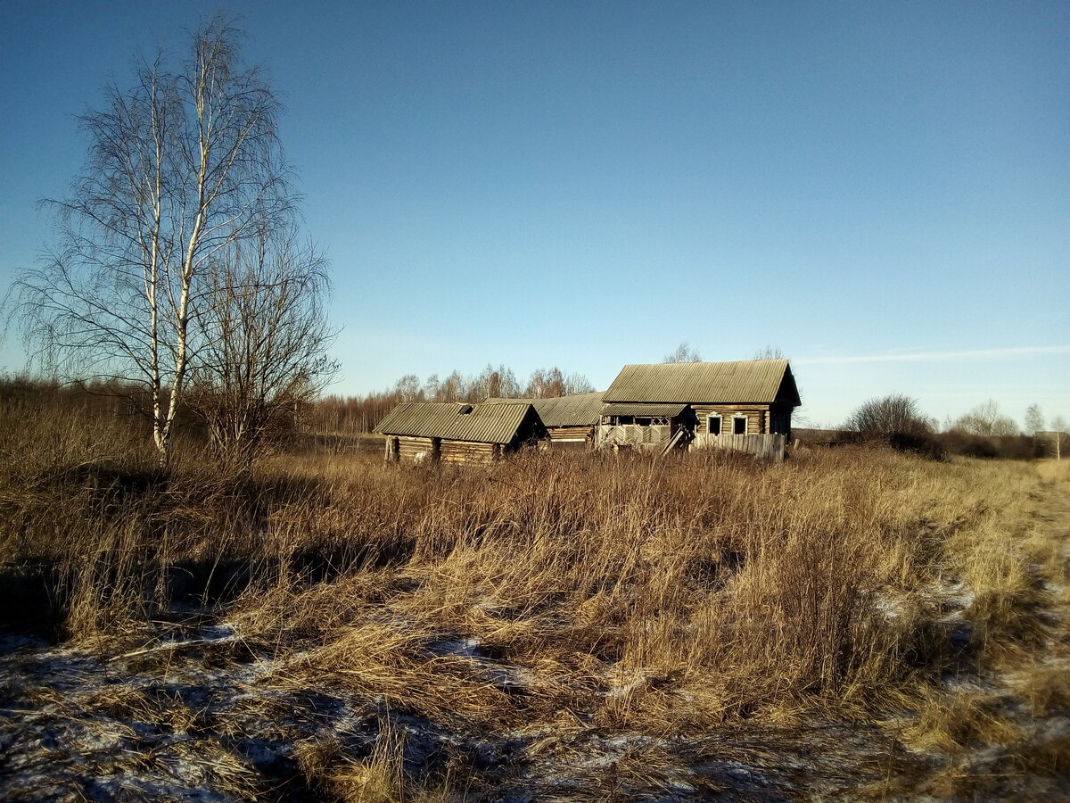 Заброшенные деревни в деревне Ширково
