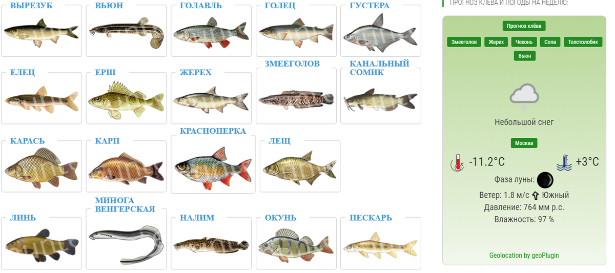 Клев рыбы оренбургской области. Таблица рыбака. Календарь рыболова. Календарь клева налима. Календарь клева карася.
