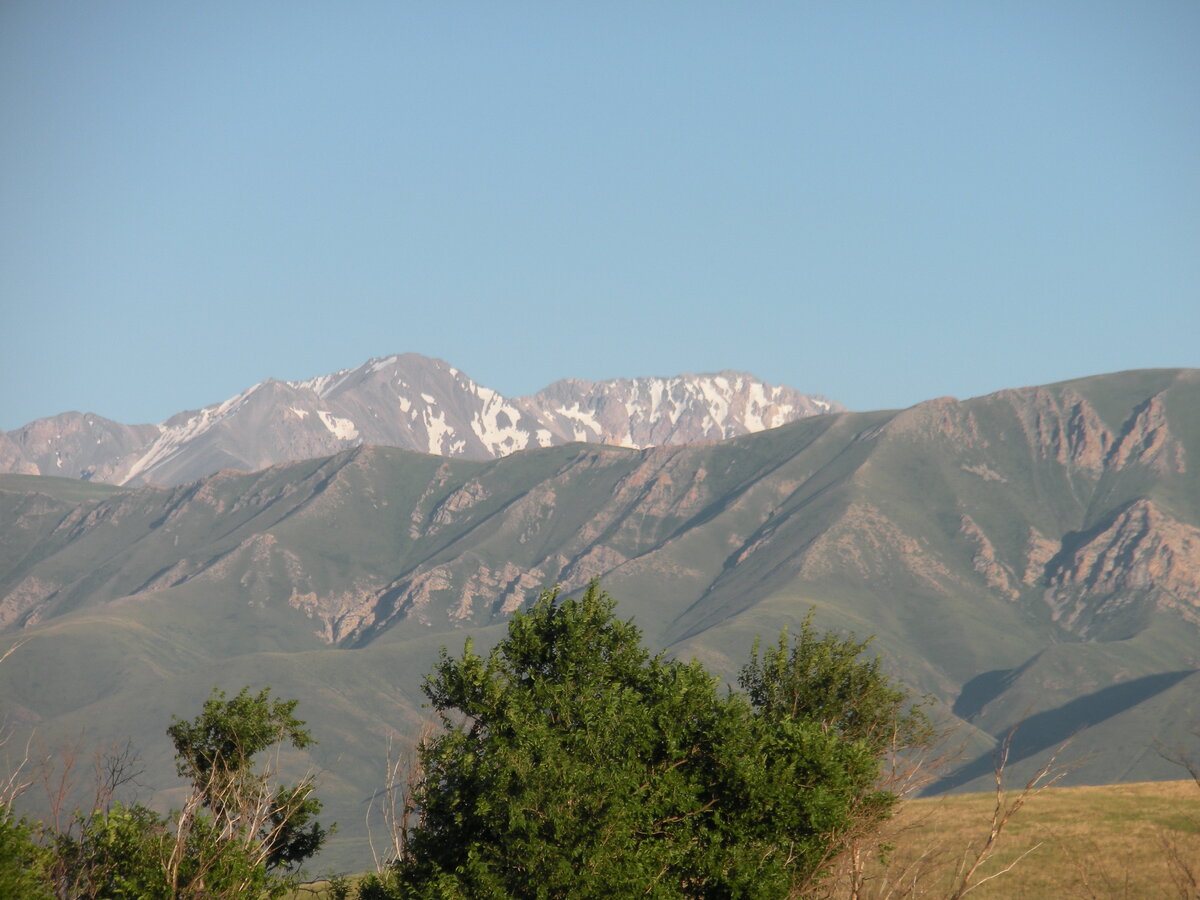 смотрим в будущее, вдаль, вперед и ввысь - через тернии к звездам...