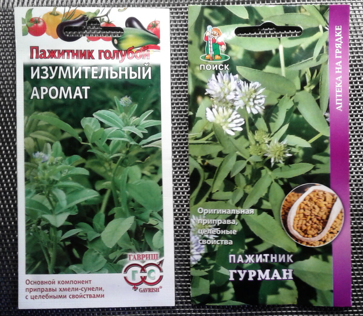 Пажитник что это такое фото и описание