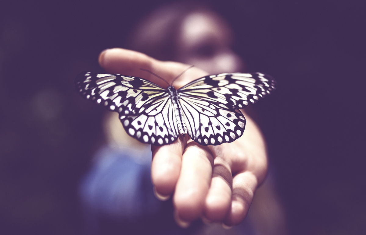 
Мы все мечтаем о свободе. Ну многие из нас. Но готовы ли мы к ней на самом деле?