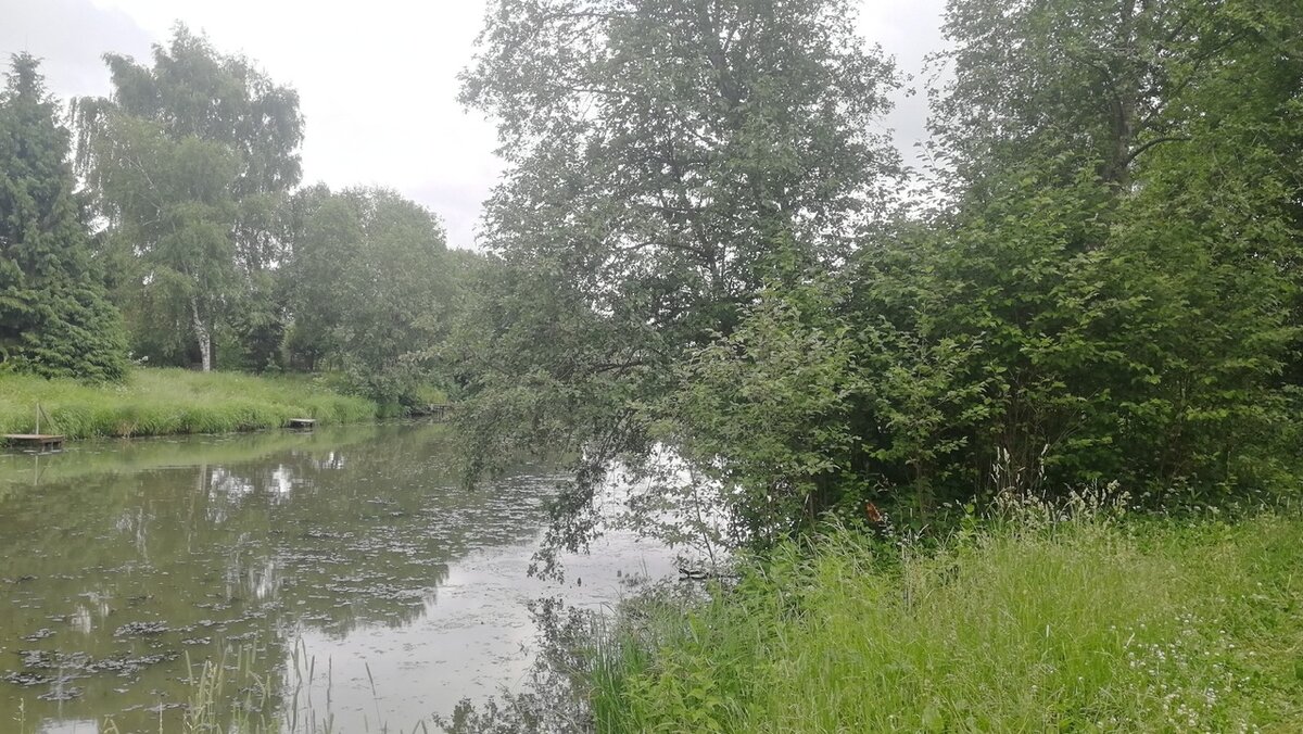 А тут был мостик с которого можно было не плохо так нырять. И глубина сразу. Сейчас едва по пояс будет.