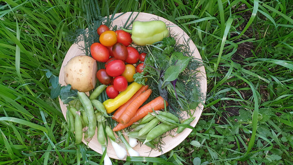 Сколько овощей и фруктов можно есть