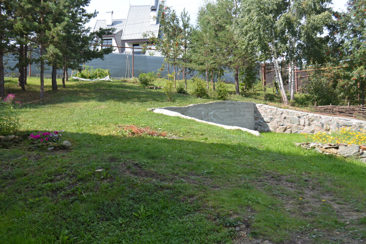 Что выросло из грибного мицелия спустя пять лет | Хозяйка Сада | Дзен