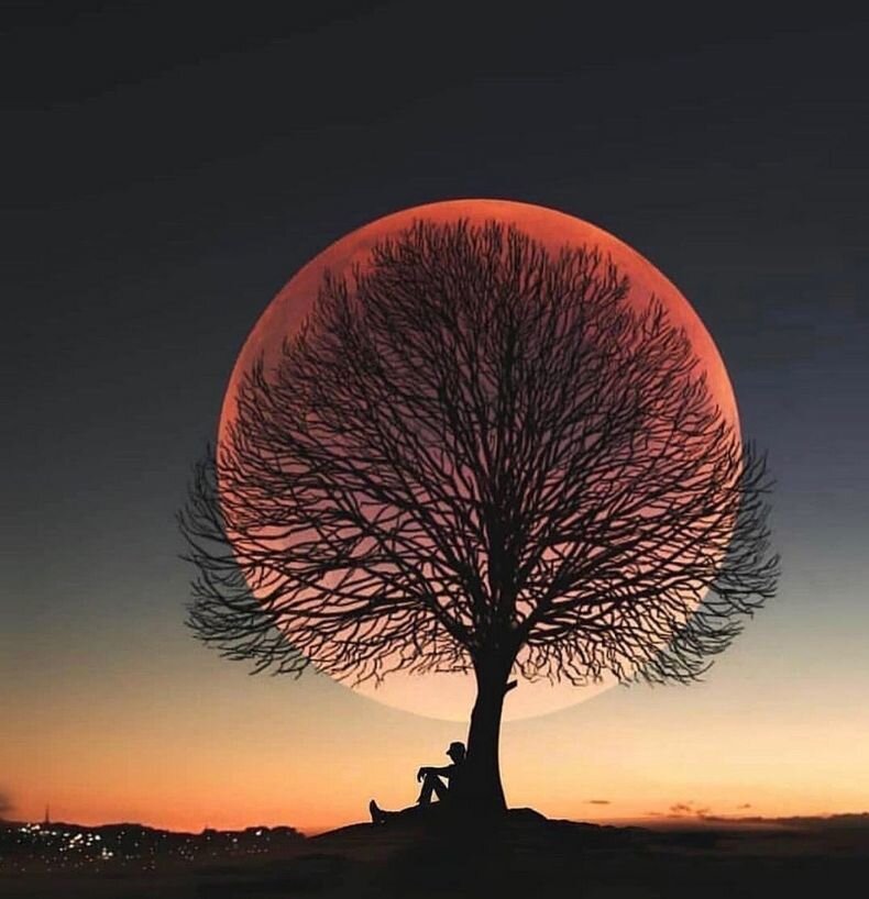 В эту пятницу-13, будет Урожайная Луна - явление, которое не повторится до 2049 года