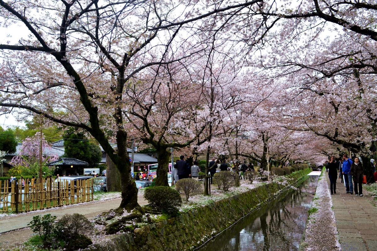 Тропа Философов в Киото. Фото из личного архива