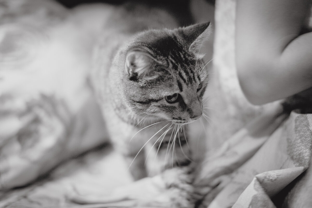 Ёс в подростковом возрасте был агрессивным и очень энергичным