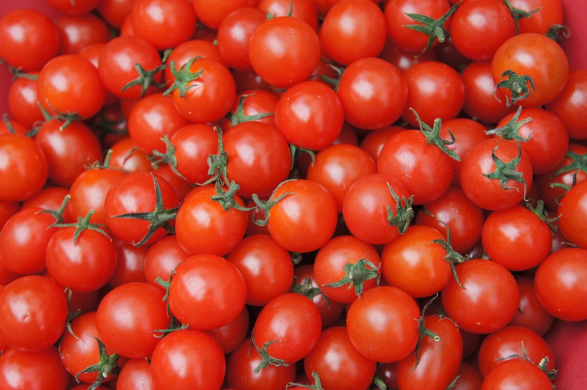 cdn.pixabay.com/cherry-tomato-4330441_1280.jpg