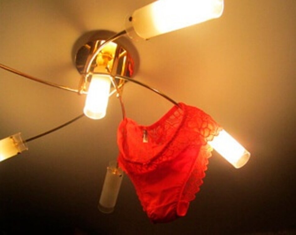 Трусы не мои. Источник изображения Яндекс.Картинки. Люстру со своими трусами показывать стесняюсь