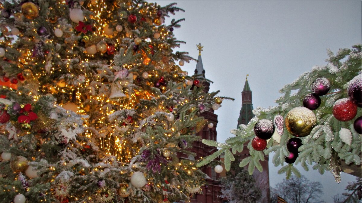 Глаз не оторвать от этой  сверкающей и переливающейся  красоты