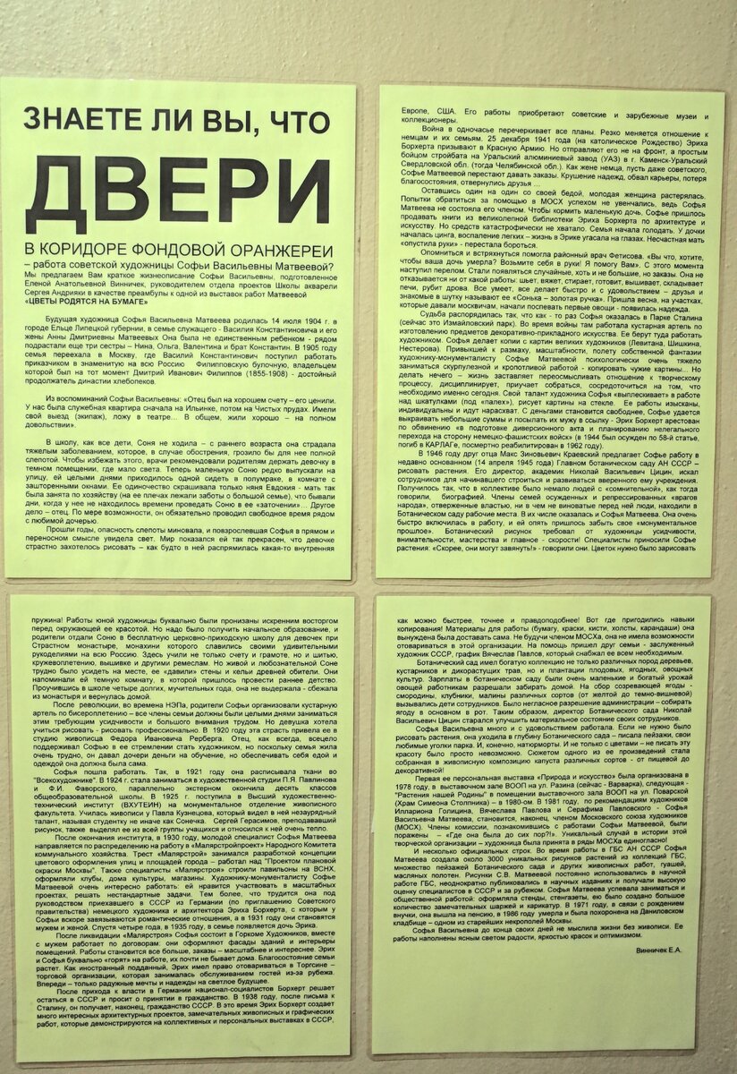 Заповедник из 50-х: как сегодня выглядит оранжерея Ботанического сада, про  которую все забыли | Москва. Детали | Дзен