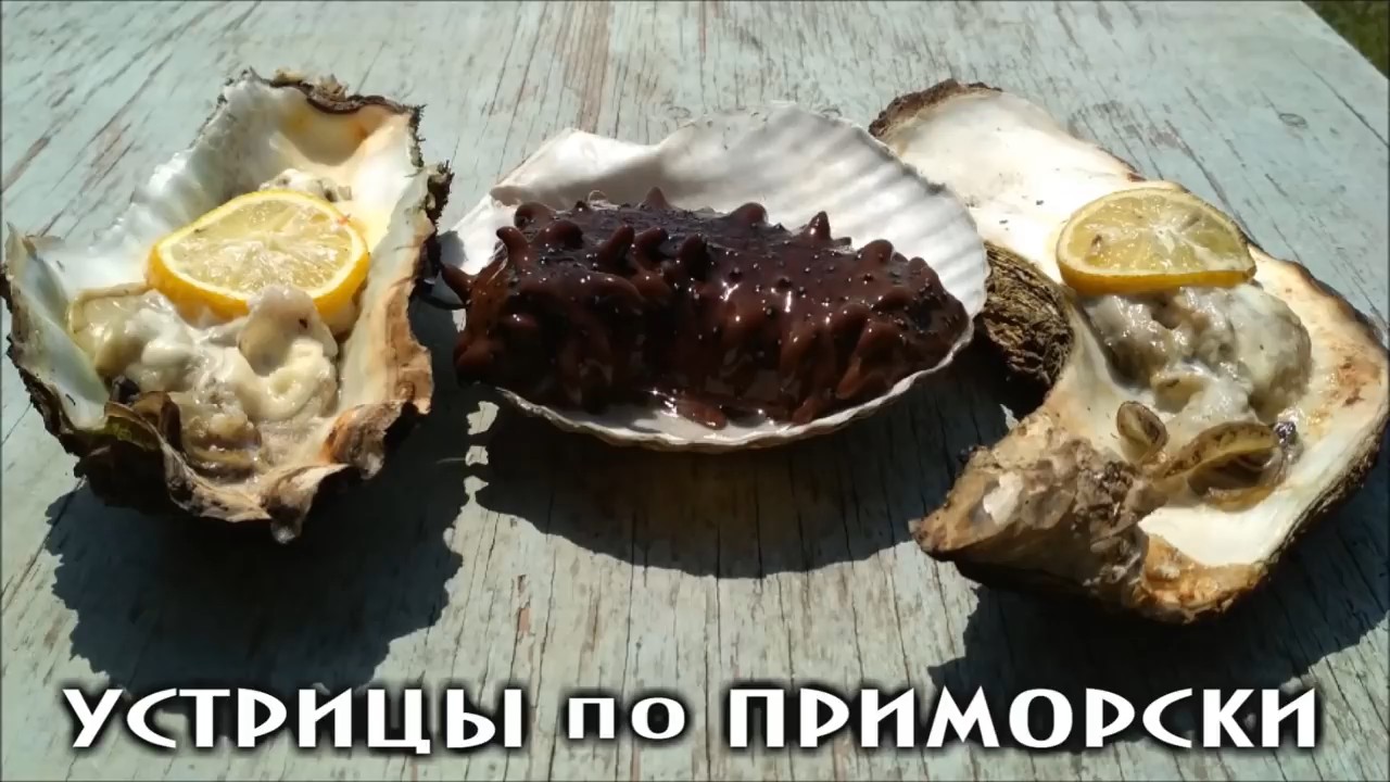 УСТРИЦЫ по ПРИМОРСКИ (Лучшие рецепты морской походной кухни)