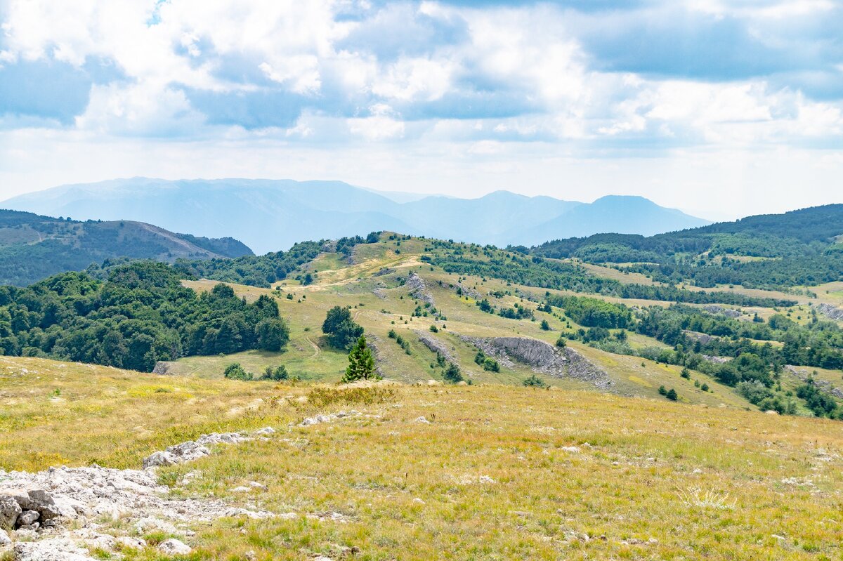 2. Вершина Ернен-кая (около 1245 м), левее Демирджинское седло, именно туда ведёт видимая вблизи края леса дорога. Маршрут моего спуска проходит значительно левее, за левым краем кадра. Слева вдали Бабуган, справа весь Синаб-даг (он же Чучельский хребет). Точно за Малой Чучелью виден Оксек-бурун.