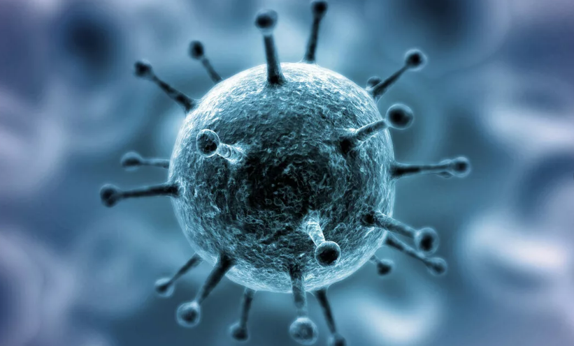 Фото из Интернета