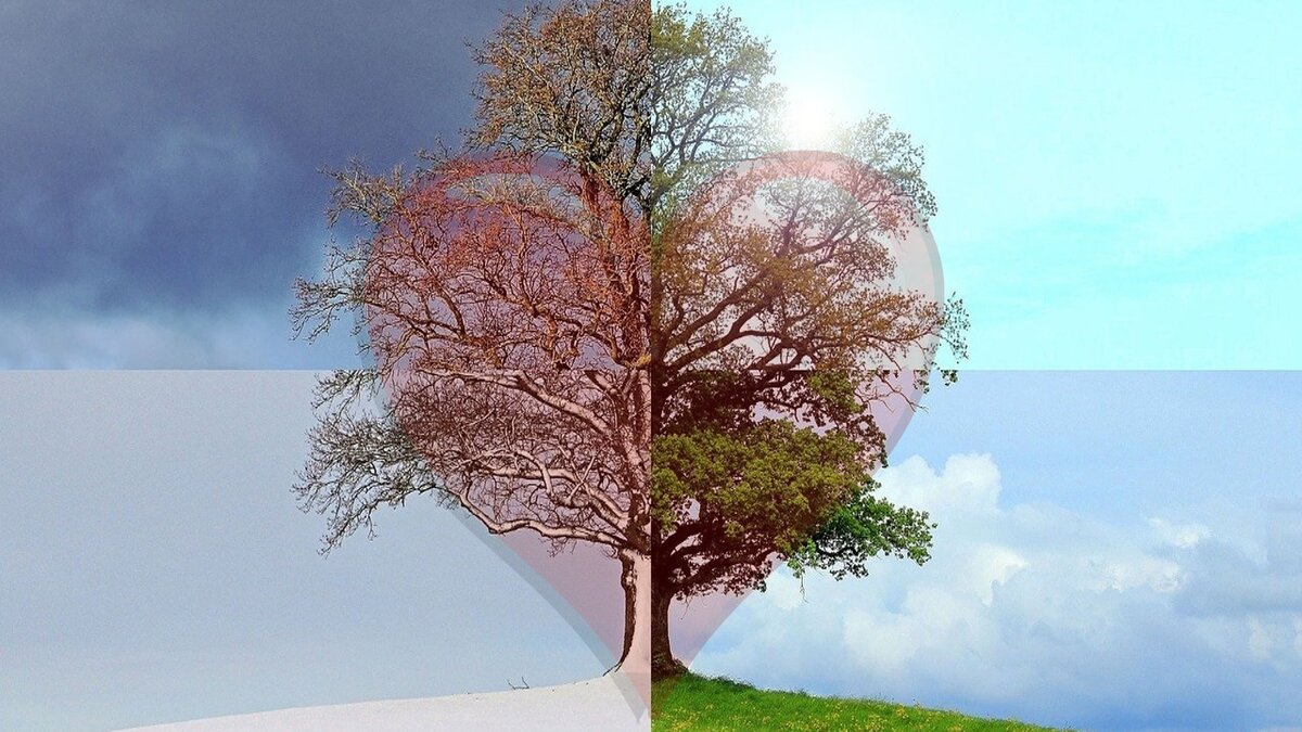 Четыре времени года