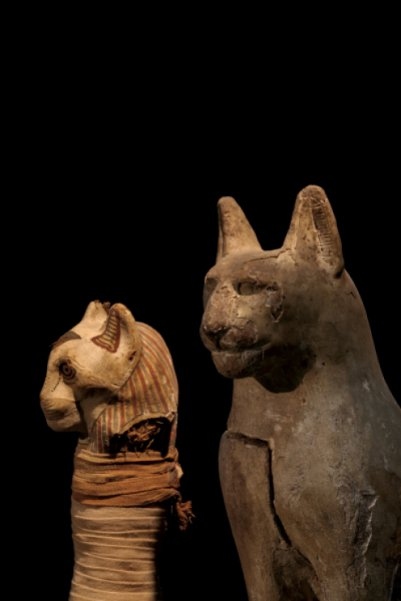 Спасибо National Geograpfic https://nat-geo.ru/planet/zagrobnyy-zoopark/