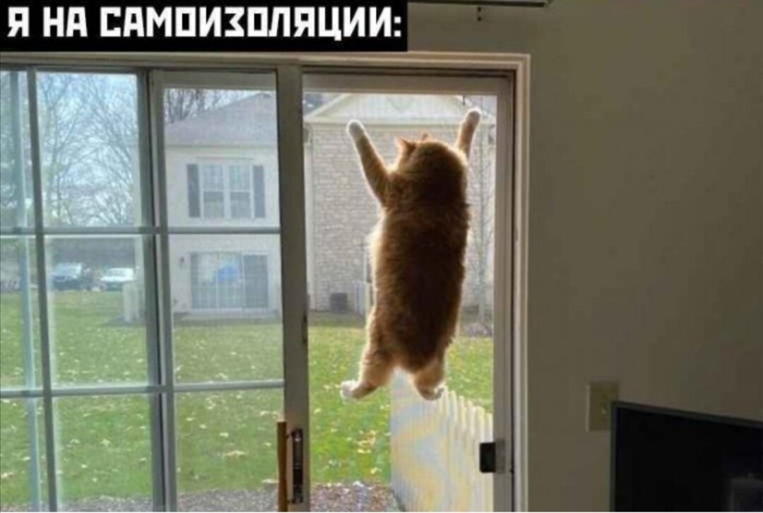 Самоизоляция.