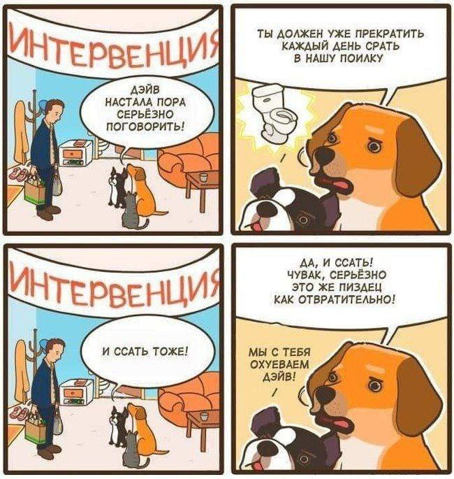 А твои питомцы возмущаются?) Источник: https://vk.com/only_pdrg