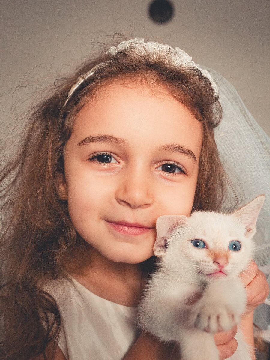 https://www.pexels.com/photo/girl-holding-white-kitten-3367705/