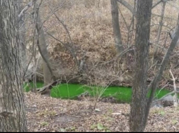 Такой неестественный вид связывают с попаданием в воду красителя, который используют теплоснабжающие организации для окраски теплоносителя