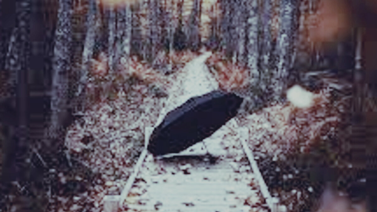 Подписывайтесь на канал, ставьте лайк. Я пишу для вас