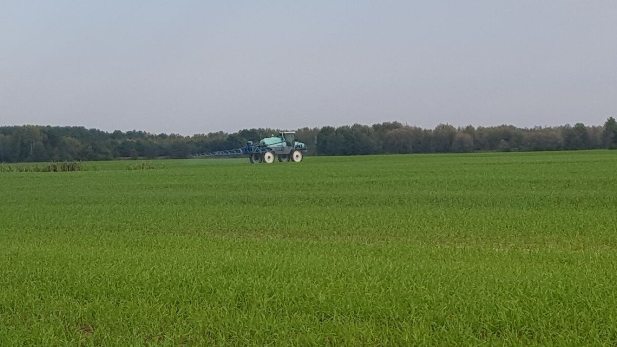 Фото:glavagronom.ru Обработка посевов