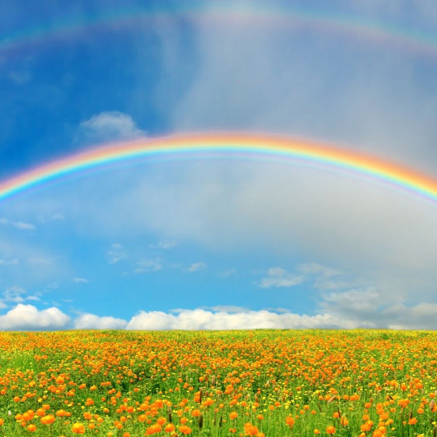 Пусть полоса удач преследует Вас! Фото взято из публичного доступа:) 