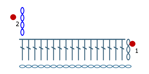 Столбик с двумя накидами крючком