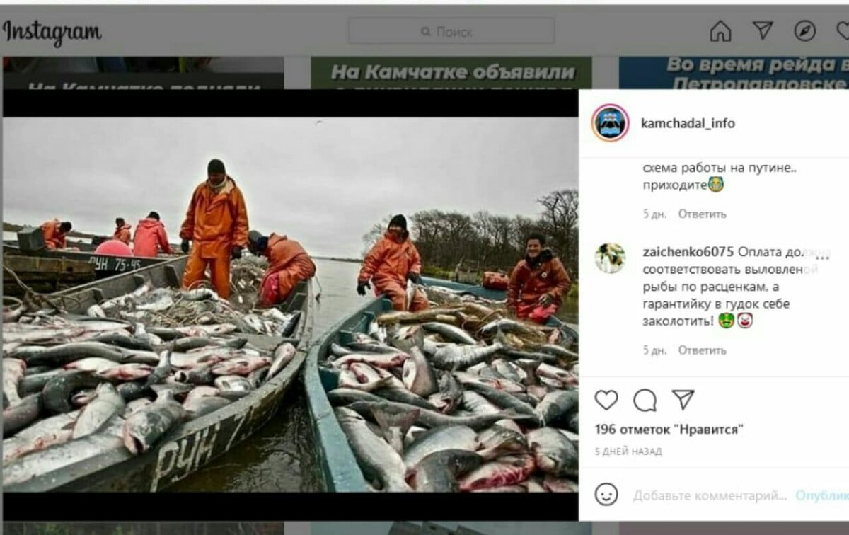 Instagram.com Путина на Камчатке в самом разгаре 