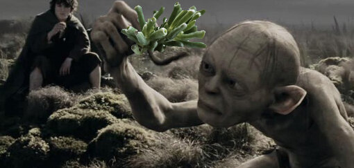 Моя прелесть