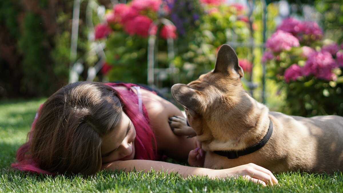 Эмоции присущи как людям так и животным. Женщина с собакой. Горячая девушка с собакой. Девушка с собакой на траве. Собака на лужайке.