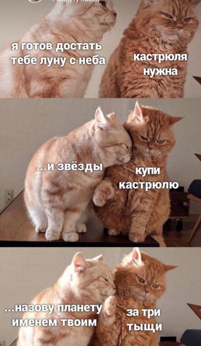 КАСТРЮЛЯ НУЖНАААААААААААААААААА