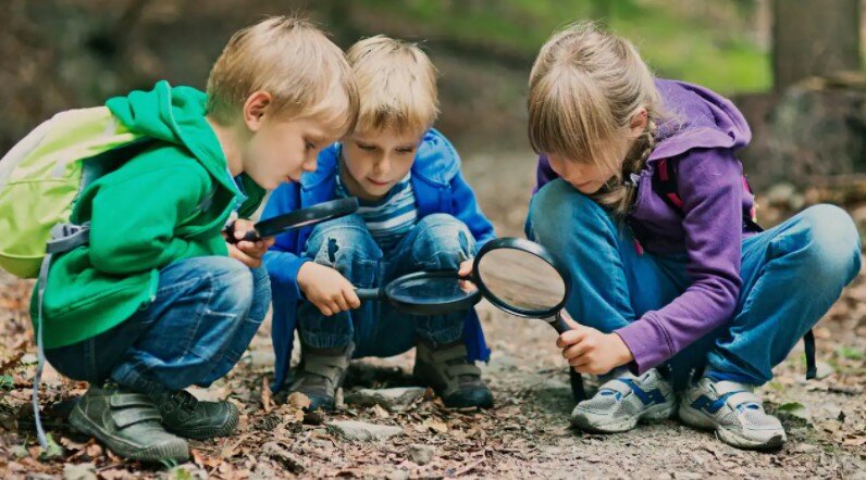 фото из открытого источника