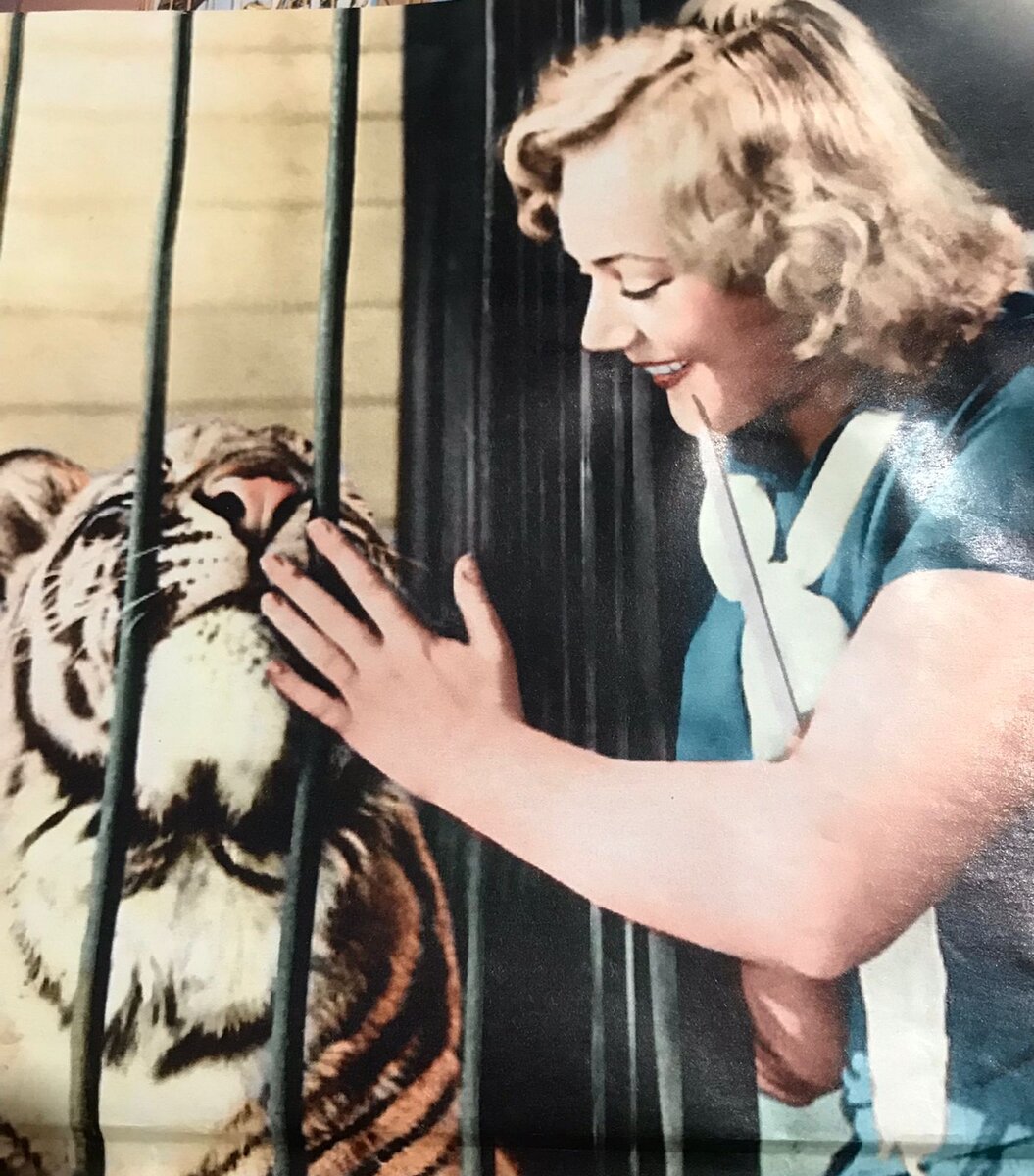 Кадр из фильма "Укротительница тигров" 1954 г.