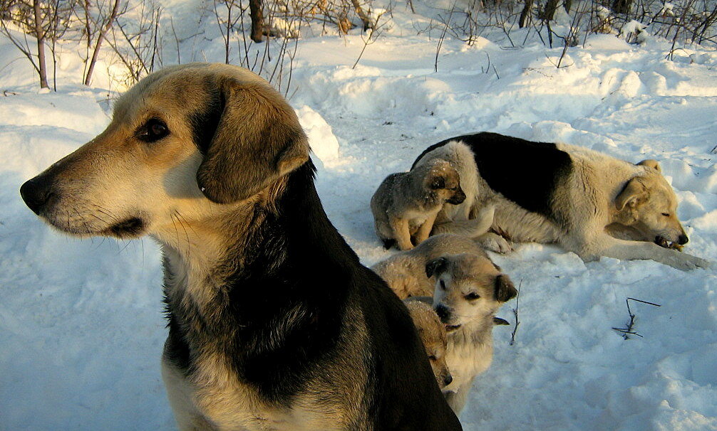 Мать со своими детьми