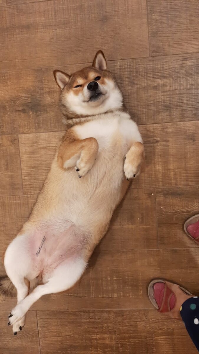 -2