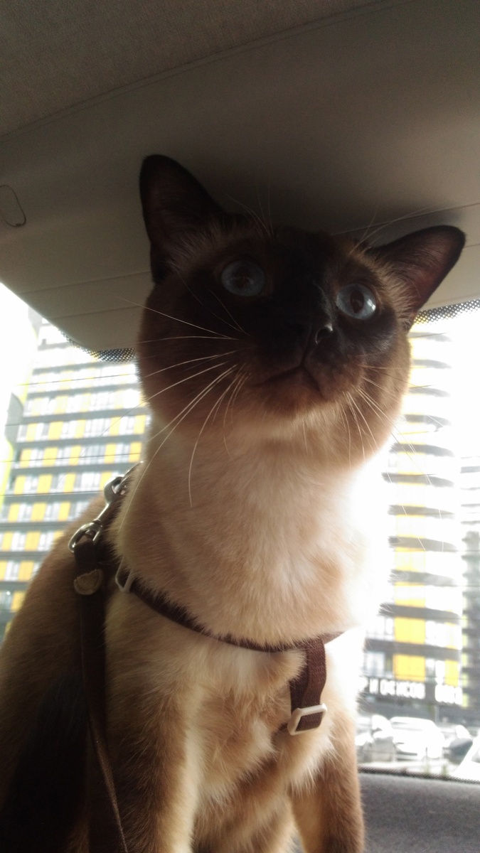 Все интересно вокруг.