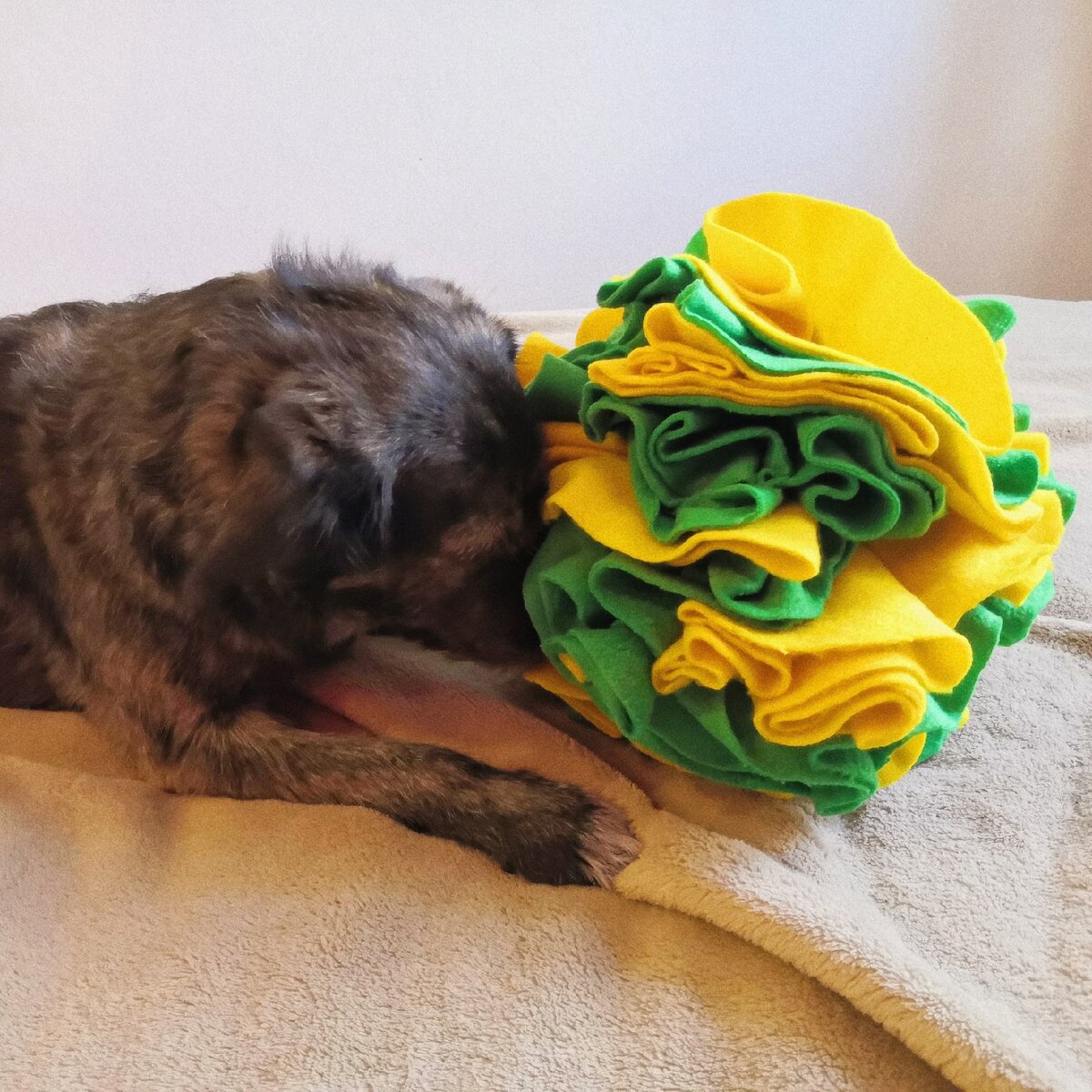 Умный шар для собаки за 30 минут