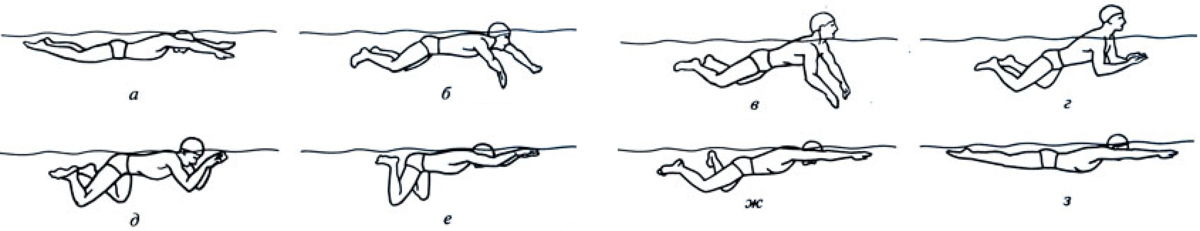 Упражнение движения воды. Техника плавания брассом. Стиль брасс в плавании техника выполнения. Брасс техника плавания схема. Брасс плавание техника лягушка.