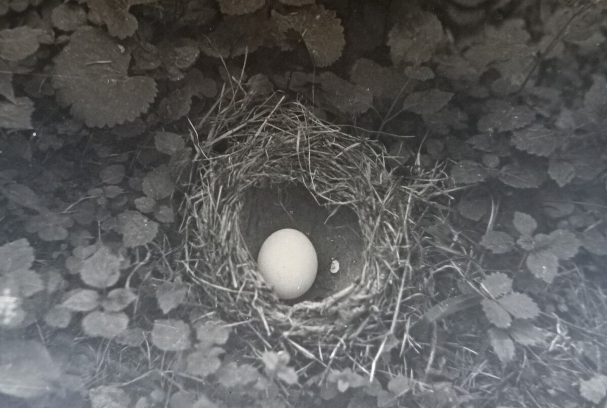 Фото из архива автора.