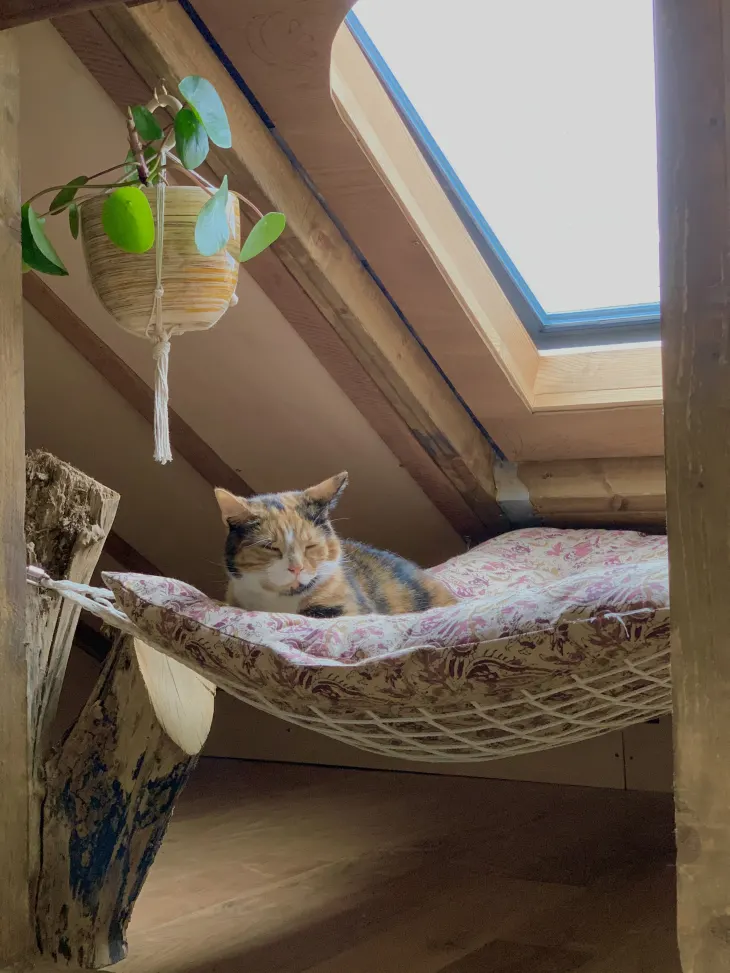 apartmenttherapy.com