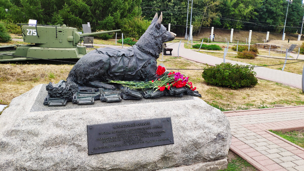 Памятник фронтовой собаке. Музей Г.О.Р.А