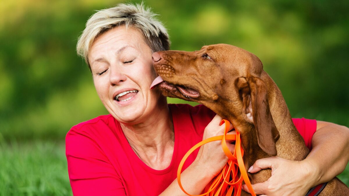 Почему собака лижет лицо?