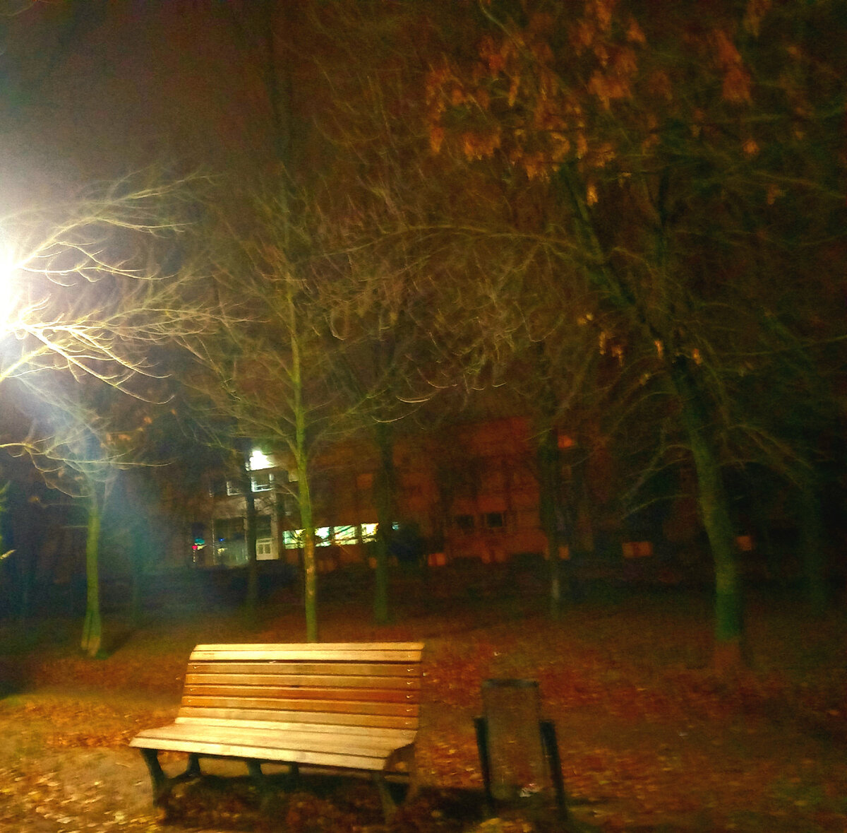 Фото сделано автором.