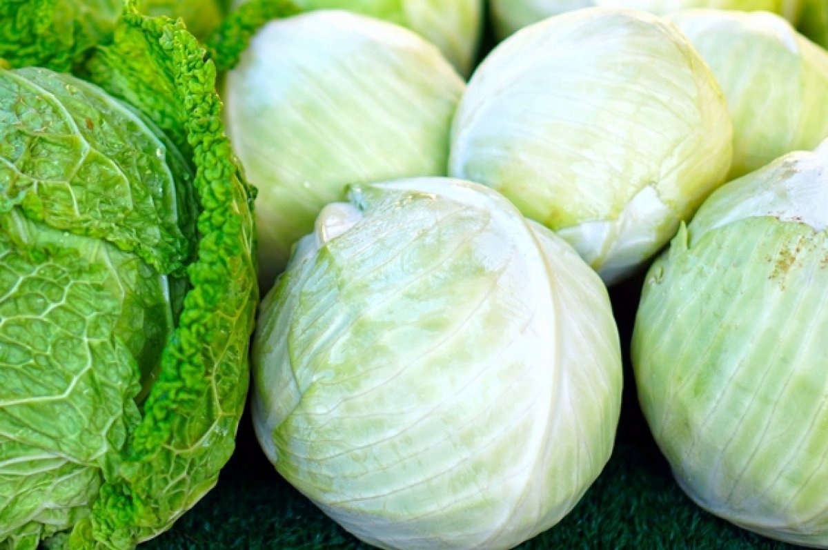    Ставропольцев приглашают за капустой на ярмарки 26-27 ноября