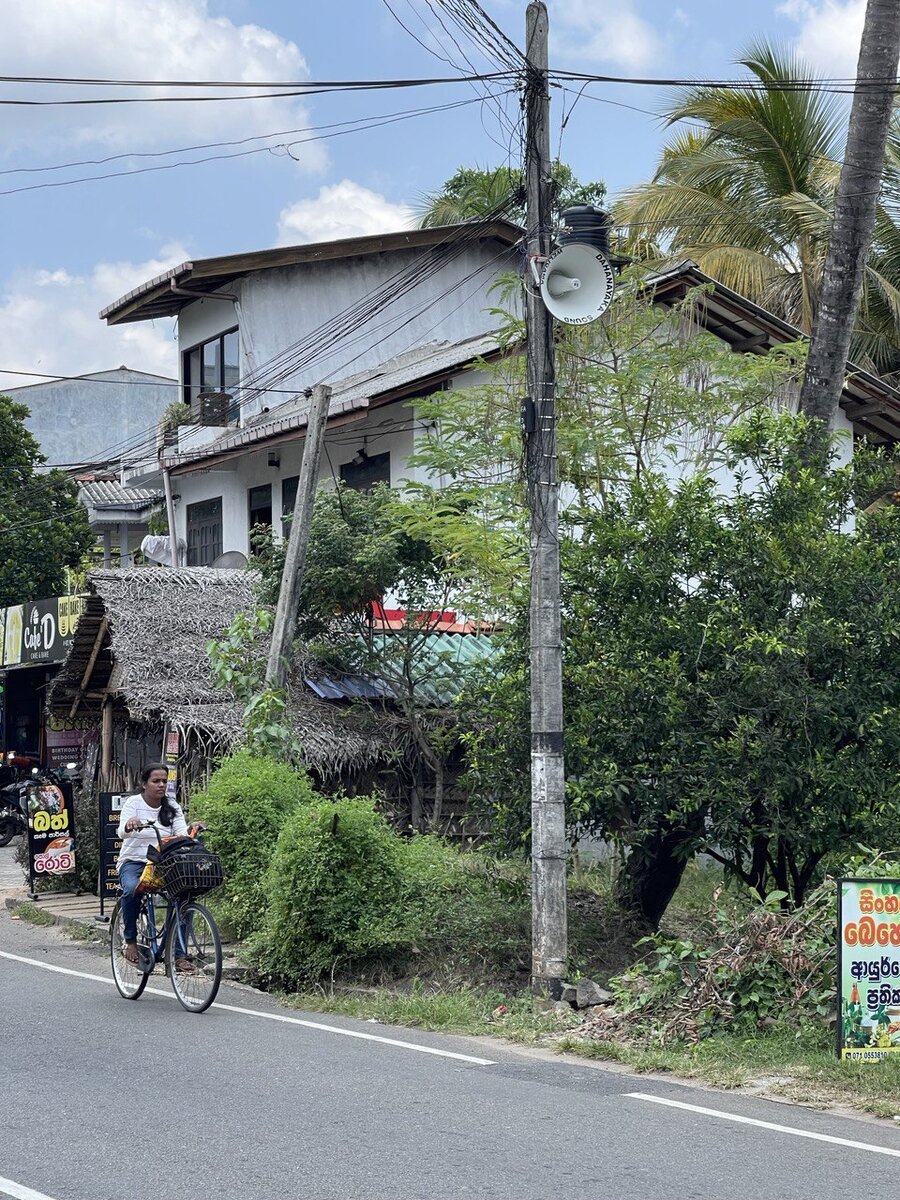Сейчас он орёт! ☠️☠️